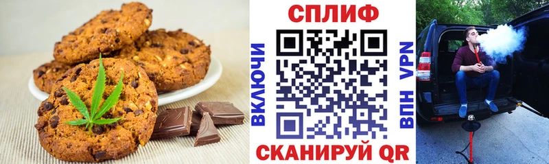 Купить закладки  Саранск  Cannafood марихуана 