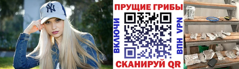 Псилоцибиновые грибы мухоморы  Купить закладки  Саранск 