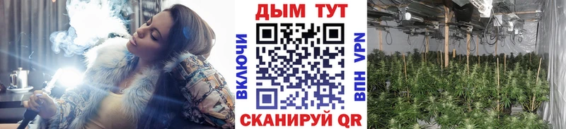 Купить закладки  Саранск  Каннабис индика 